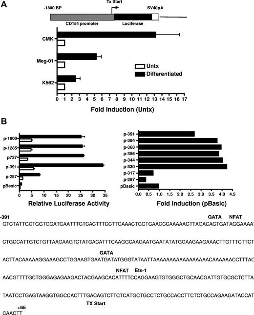 Figure 5. CD154 promoter activity in untreated and PMA-differentiated cell lines. (A) Untreated and 4-day PMA-differentiated CMK, Meg-01, and K562 cells were transfected with the promoter construct shown. Twenty-four hours later, luciferase activity was assessed. Fold induction of luciferase activity in the differentiated cells relative to the untreated cells (Untx) is shown. The bars represent means plus or minus the standard error from 4 independent experiments. (B) Relative luciferase activity of 4-day PMA-differentiated CMK cells transfected with the CD154 promoter-reporter constructs shown. The −391 to +65 nt region of the CD154 with putative transcription factor binding sites is shown. The bars represent means plus or minus the standard error from 4 independent experiments. The sequence of the −391 nt 5′ flanking region with location of the consensus transcription factor binding sites as predicted by Matinspector. The consensus core sequences for GATA-1, NFAT, and Ets-1 are as follows: GATA-1 (GATA), NFAT (TTTTCC) and Ets-1 (GGAA)