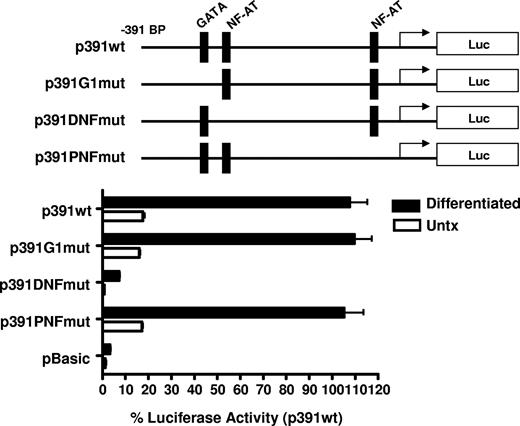 Figure 6. Megakaryocyte-specific promoter activity is dependent on the distal NFAT site. Untreated and 4-day PMA-differentiated CMK cells were transfected with the reporter constructs containing mutations to the putative transcription factor binding sites shown (represented by the schematics). Twenty-four hours after transfection, luciferase activity was assessed and expressed as percent of activity relative to the −391-bp wild-type construct. The bars represent means plus or minus the standard error from 3 independent experiments.