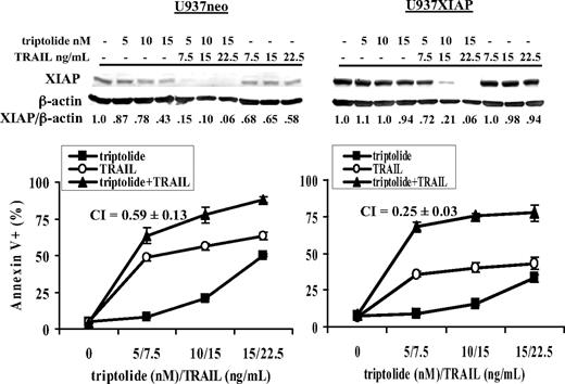 Figure 3. Triptolide decreases XIAP protein levels and sensitizes both U937neo and U937XIAP cells to TRAIL-induced cell death. U937neo and U937XIAP cells were treated with TRAIL, triptolide, or both agents for 48 hours. XIAP protein levels were determined by Western blotting and cell death by annexin V/PI staining and flow cytometric analysis. Error bars represent SE.