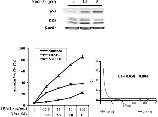 Figure 5. Activation of p53 by the MDM2-specific inhibitor nutlin3a induces DR5 expression and sensitizes cells to TRAIL-induced cell death. OCI-AML3 cells were treated with nutlin3a, TRAIL, or nutlin3a plus TRAIL for 24 hours. p53 and DR5 protein levels were measured by Western blotting and cell death by annexin V/PI staining and flow cytometric analysis. N3a indicates nutlin3a; TR, TRAIL. Error bars represent SE.