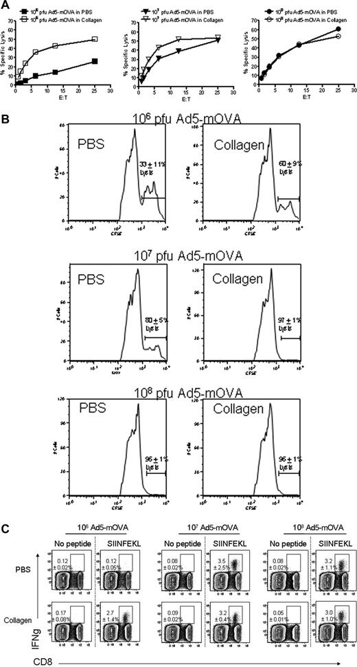 Figure 1. Delivery of Ad5-mOVA in collagen enhances recognition and lysis of OVA-expressing targets in a dose-dependent manner. (A) Mice were immunized subcutaneously with the indicated doses of Ad5-mOVA in PBS or 30 mg/mL collagen in the flank. After 14 days, spleens were harvested for lytic assays as described in “Methods.” Data are representative of 2 experiments with 3 mice per group. (B) Mice were immunized as in panel A, and in vivo CTLs were initiated 13 days later as described in “Methods.” SIINFEKL-loaded splenocyte targets were CFSE-high, and control targets were CFSE-low. Data are representative of 2 experiments of 3 to 5 mice per group. Percentage lysis is the average of both experiments plus or minus SEM. (C) Mice were immunized as in panels A and B, and spleens were harvested after 13 days for 5-hour stimulation with SIINFEKL peptide to determine levels of IFNγ-expressing OVA-specific CD8 T cells as assessed by flow cytometry. Each panel is representative of 3 mice. Lysis is the average plus or minus standard deviation.