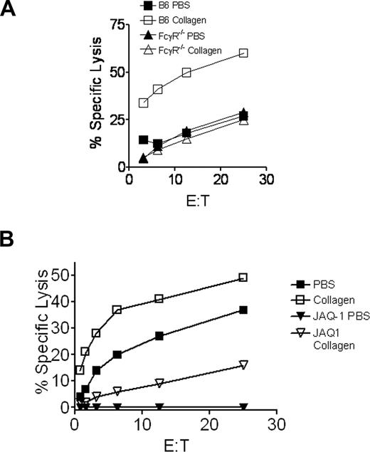 Figure 3. Platelets must be responsive to collagen for collagen-mediated CTL augmentation. (A) FcRγ−/− mice (platelets cannot be activated by collagen) were immunized subcutaneously on the flank with 106 pfu Ad5-mOVA in PBS or 30 mg/mL collagen. After 14 days, spleens were harvested for lytic assay. (B) B6 mice were injected intravenously with 50 μg of the GPVI (platelet collagen receptor)–blocking monoclonal antibody JAQ1. After 24 hours, mice were immunized subcutaneously on the flank with 106 pfu Ad5-mOVA in PBS or 30 mg/mL collagen. Fourteen days later, spleens were harvested for lytic assays. Each panel is representative of 2 experiments of 3 mice per group.