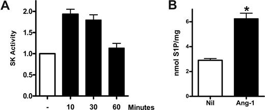 Figure 1. Ang-1 induces SK-1 activation in HUVECs. (A) HUVECs were either untreated or treated with Ang-1 at 0.2 μg/mL for various times. Cells were lysed and SK-1 activity measured. Shown are pooled data from 3 experiments and expressed as fold change in relation to untreated group, where the SK-1 activity was normalized to 1.0 (*P < .01 vs untreated group). (B) HUVECs were untreated (Nil) or treated with Ang-1 at 0.2 μg/mL for 15 minutes. Intracellular S1P levels were determined. Data are mean plus or minus SEM from 3 independent experiments (*P < .001 vs untreated group).