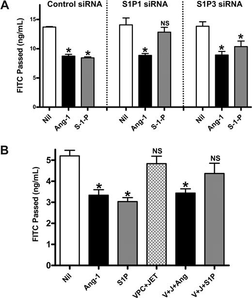Figure 6. Ang-1 inhibition of EC permeability is independent of the S1P receptor. (A) HUVECs were transfected with control siRNA, siRNA against S1P1 or against S1P3. Seventy-two hours after transfection, cells were untreated (Nil), treated with Ang-1 for 30 minutes (Ang-1), or treated with S1P at 1 μM for 15 minutes (S-1-P) and permeability measured. Permeability is given as the FITC-dextran passage in 30 minutes. The pooled data from 3 experiments are shown (*P < .01 vs untreated cells). NS indicates no significant difference versus untreated cells. (B) HUVECs were untreated (Nil), treated with Ang-1 (Ang-1) 0.2 μg/mL for 30 minutes, S1P (S1P) 1 μM for 15 minutes, JET-013 (JET) 1μM, and VPC 23 019 (VPC) 10 μM for 30 minutes (JET + VPC), or pretreated with JET-013 and VPC 23 019 for 30 minutes then treated with Ang-1 (J + V + Ang) or S1P (J + V + S1P). Permeability is given as the FITC-dextran passage in 30 minutes. Pooled data from 3 experiments are shown (*P < .01 vs untreated cells). All data are mean plus or minus SEM. NS indicates no significant difference versus untreated cells.