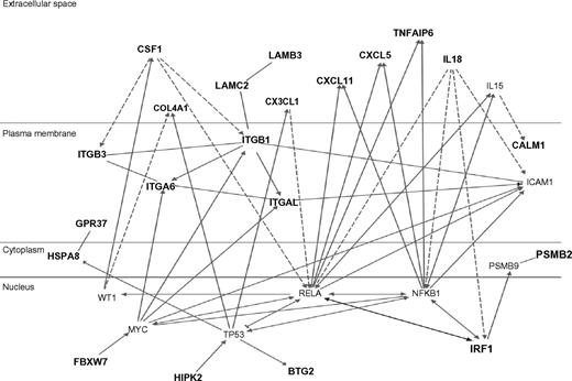 Figure 3. Ingenuity biologic systems map of the top-21 inflammation genes (shown in bold type). Biologic relationships documented in the literature are shown.