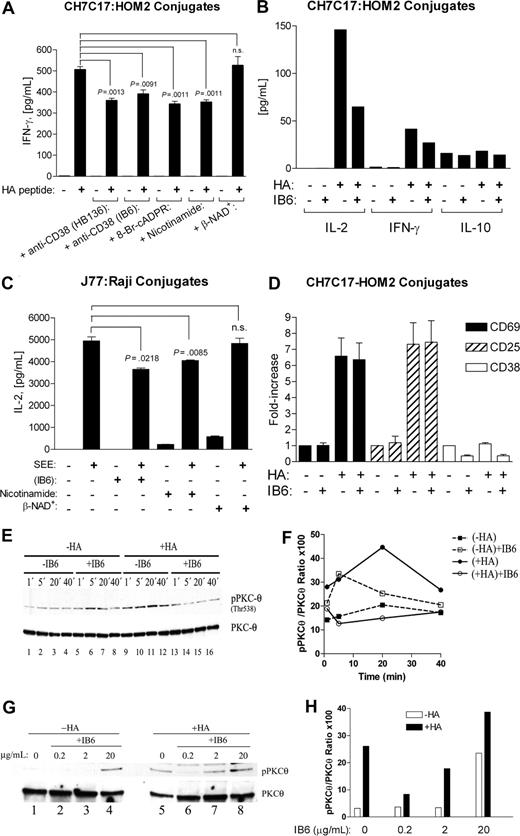 Figure 7. Effect of anti-CD38 mAb on antigen-induced T-cell activation and cytokine production. (A) IFN-γ production by CH7C17 T cells incubated overnight with HA peptide–pulsed (+) or unpulsed (−) HOM-2 B cells. CH7C17 T cells were preincubated for 15 minutes at 37°C with the indicated anti-CD38 mAb or with reagents at the concentrations indicated in “Results.” Representative experiment out of 3 independent experiments performed in triplicates (mean ± SEM). Statistical analysis: unpaired t test; n.s., not significant. (B) IL-2, IFN-γ, and IL-10 production (and 7 additional cytokines) was assayed simultaneously by a multiplex system (“Methods”) in supernatants of CH7C17 T cells stimulated as in panel A. Representative experiment out of 5 independent experiment is shown. (C) IL-2 production by Jurkat J77 T cells incubated overnight with SEE-pulsed (+) or unpulsed (−) Raji B cells. Jurkat J77 T cells were preincubated for 15 minutes at 37°C with the indicated anti-CD38 mAb or with reagents at the concentrations indicated in “Results.” Representative experiment out of 3 independent experiments performed in triplicates (mean ± SEM). Statistical analysis: unpaired t test; n.s., not significant. (D) After removal of supernatants in 5 experiments as in panel B, cells were tested for CD69 (■), CD25 (▨), or CD38 (□) expression by FACS. The data represent the fold increase over the geometric mean values obtained in CH7C17 T cells stimulated with non–HA-pulsed HOM2 cells in the absence of IB6 (1-fold value), and are the mean plus SE of 5 independent experiments. (E) Western blot analysis with the anti–phospho-PKCθ (Thr538), followed by anti-PKCθ for protein-loading control of cell lysates from CH7C17 T cells incubated with unpulsed (−HA) or HA-pulsed (+HA) HOM-2 B cells. CH7C17 T cells were either preincubated with vehicle (−IB6) or preincubated for 30 minutes at 37°C with the anti-CD38 mAb IB6 (+IB6), then washed to eliminate unbound IB6, mixed with HOM-2 B cells, and incubated at 37°C for the indicated periods of time. The image is representative of 3 independent experiments. (F) The level of PKCθ phosphorylation at Thr538 (y-axis) was plotted against time (minutes). ■ indicates CH7C17 T cells incubated with unpulsed HOM-2 cells for the indicated periods of time; □, CH7C17 T cells preincubated with anti-CD38 mAb IB6 and then with unpulsed HOM-2 cells; ●, CH7C17 cells incubated with HA-pulsed HOM-2 cells; and ○, CH7C17 cells preincubated with IB6 and then incubated with HA-pulsed HOM-2 cells. (G) CH7C17 T cells were preincubated with different concentrations of IB6 or vehicle as indicated. After 30 minutes at 37°C, cells were washed and incubated with either nonpulsed (−HA) or HA-pulsed (+HA) HOM-2 B cells for 20 minutes. Western blotting of cell lysates were probed with anti–phospho-PKCθ (Thr538), followed by anti-PKCθ total for protein-loading control. (H) The level of phosphorylation of PKCθ at Thr538 (y-axis) in CH7C17 T cells interacting with either unpulsed (□) or HA-pulsed (■) APCs was plotted against the concentration of IB6 mAb used (x-axis).