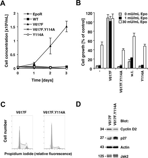Figure 1. Jak2V617F requires an intact FERM domain for transformation of BaF3.EpoR cells. Parental BaF3.EpoR cells or cells expressing various mutants of Jak2 (as indicated) were used. (A,B) Relative growth of cell lines was determined in a 72-hour culture. Cell growth is shown as a change in cell concentration (A) or was calculated as a percentage compared with cells that were grown in an optimal amount of Epo (B). (C) Cell-cycle distribution was determined in the absence of growth factor (typical experiment). (D) Cells expressing Jak2V617F were used and compared with cells expressing Jak2V617F.Y114A in the absence of growth factors. Cellular proteins were detected by immunoblotting as indicated.