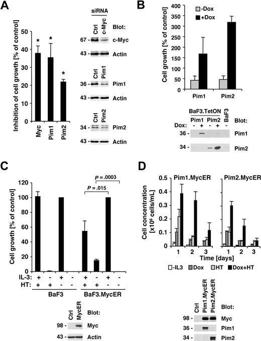Figure 4. Myc and Pim proteins are required for full transformation of HEL cells. (A) HEL cells were transfected with either control siRNA or c-Myc–, Pim1-, and Pim2-specific siRNA. Relative growth of HEL cells 72 hours after siRNA transfection was calculated as a percentage compared with control siRNA–transfected cells (n = 3, left panel). The change in expression of c-Myc, Pim1, and Pim2 after siRNA treatment was determined in whole-cell lysates (right panel). *Significant differences (P ≤ .05) were observed between treated and control cells. (B) Untreated BaF3 cells with doxycycline-inducible Pim1 and Pim2 were used and compared with cells treated with 1 μg/mL doxycycline (DOX) or BaF3 cells maintained in interleukin-3 (IL-3)–free medium. Cell growth was measured after 72 hours (top panel) or induction of Pim1 and Pim2 after doxycycline treatment (24 hours) by immunoblotting as indicated (bottom panel). (C) Parental BaF3 cells or cells expressing the MycER fusion protein were left untreated or treated with 4-hydroxy-tamoxifen (HT). The expression of the MycER fusion protein was detected by Myc immunoblotting (bottom panel). (D) Untreated BaF3 cells with doxycycline-inducible Pim1 and Pim2 as well as HT-inducible Myc-ER were used and compared with cells treated with 1 μg/mL DOX, HT, or combinations thereof (0.2 × 106 cells/mL). Cell concentrations were measured over a 3-day period (n = 3) and protein expression was assayed after 24 hours of DOX and HT treatment as indicated.
