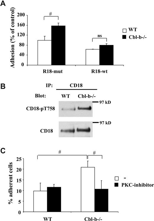 Figure 4. Increased T758 phosphorylation in the β2-chain upon Cbl-b deficiency mediates LFA-1 activation. (A) Disruption of the association of 14-3-3β with the β-chain of LFA-1 abrogates the enhanced ICAM-1 adhesion of Cbl-b−/− BMDMs. WT (□) and Cbl-b−/− (■) BMDMs were transfected with R18wt or R18mut DNAs, and allowed to adhere onto immobilized ICAM-1. Cell adhesion is represented as percentage of control. The adhesion of R18mut-transfected WT BMDMs represents the 100% control. Data are means plus or minus SD (n = 3). (B) Increased T758 phosphorylation in the β2-chain of LFA-1 due to Cbl-b deficiency. T758 phosphorylation of β2-integrin (CD18) was determined in PMA-treated WT and Cbl-b−/− monocytes. Immunoprecipitation of CD18 was performed followed by Western blot using a phosphospecific T758 CD18 antibody or an antibody against total CD18. (C) Adhesion of WT or Cbl-b−/− BMDMs to immobilized ICAM-1 is shown in the absence (□) or in the presence (■) of the PKC inhibitor Gö6983 (50 nM). Cell adhesion is represented as the percentage of adherent cells. Data are means plus or minus SD. Similar results were observed in 3 separate experiments. #P < .01; ns, nonsignificant.