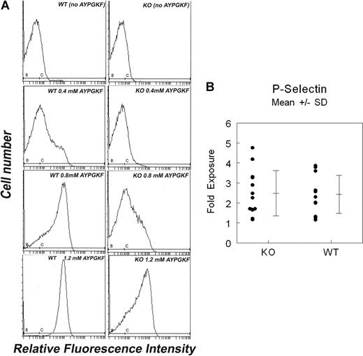 Figure 4. Surface labeling of αIIbβ3 and P-selectin. (A) Fibrinogen binding to platelets activated with AYPGKF: platelets from WT and SG−/− mice were treated with the PAR4 agonist peptide AYPGKF at the concentrations indicated, followed by incubation with FITC-labeled fibrinogen as described in “Flow cytometry.” Binding was quantitated by flow cytometry. Each assay represents 50 000 platelets. Results shown are representative of 2 independent experiments with very similar results. (B) Exposure of P-selectin. Platelets were treated with 1 U/mL thrombin and stained with anti–P-selectin antibody. Each point represents platelets from a single mouse.
