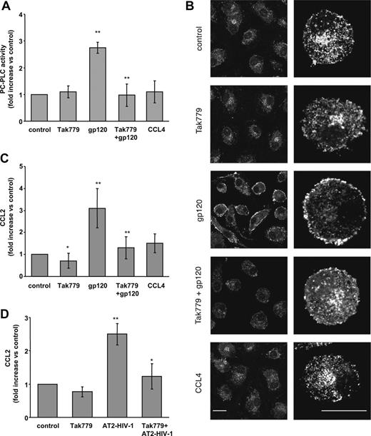 Figure 5. Tak779 inhibits R5 HIV-1–mediated PC-PLC activation and CCL2 secretion in MDMs. (A) Monocytes were seeded and cultured as described in “Methods.” At day 7, cells were treated with Tak779 (5 μM) for 30 minutes prior to R5 gp120 exposure (1 μg/mL) for 5 minutes. Some cultures were exposed to CCL4 (200 ng/mL) for 5 minutes. Cells were then lysed and PC-PLC enzymatic activity was measured in cell lysates as described in “Methods.” The relative contribution of PC-PLD was subtracted from the total fluorescence. Data are the means (± SD) of the results obtained with 3 different donors. (B) Monocytes were seeded and cultured as described in “Methods.” At day 7, cells were treated with Tak779 (5 μM) for 30 minutes prior to R5 gp120 exposure (1 μg/mL) for 5 minutes. Some cultures were exposed to CCL4 (200 ng/mL) for 5 minutes. Cells were then fixed, permeabilized, and stained with rabbit anti–PC-PLC Abs (detected in white) as described in “Methods.” PC-PLC expression and cellular localization were detected by CLSM analysis. The results from 1 representative experiment of 3 independently performed are shown. The bars, indicated in the lower panels, correspond to 20 μm. Right panels show a single cell of the corresponding left panels at higher magnification. (C) Monocytes were seeded and cultured as described in the footnote to Table 1. MDMs were treated with Tak779 (5 μM) or left untreated. After 30 minutes, some cultures were exposed to R5 gp120 (1 μg/mL) or CCL4 (200 ng/mL). After 24 hours of culture, supernatants were harvested and frozen before CCL2 determination. Data are the means (± SD) of the results obtained with 7 different donors. (D) Monocytes were seeded and cultured as described in the footnote to Table 1. MDMs were treated with Tak779 (5 μM) or left untreated. After 30 minutes, some cultures were exposed to R5 AT-2–inactivated viruses (17 ng HIVp24gag/106 cells). After 24 hours of culture, supernatants were harvested and frozen before CCL2 determination. Data are the means (± SD) of the results obtained with 3 different donors. *P < .05; **P < .005.
