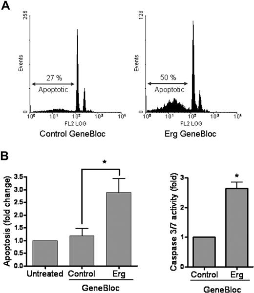 Figure 3. Erg inhibition increases apoptosis in HUVECs. (A) HUVECs (105) grown on gelatin-coated 6-well plates were transfected with either control GB or Erg-specific GB (100 nM) for 48 hours. Cells were fixed in ethanol and stained with propidium iodide. Sub-G1 apoptotic nuclei were quantified by flow cytometry. Inhibition of Erg increased apoptosis by 3-fold, *P < .05. Values are means plus or minus SEM, n = 3. (B) The regulation of apoptosis by Erg was confirmed by measuring caspase-3 or -7 activity. HUVECs (2 × 103) grown in 96-well microplates were treated with GB as above. After 48 hours, luminescence was measured using the Caspase-3 or -7 Glo Assay (Promega). *P < .05. Values are means plus or minus SEM, n = 4.