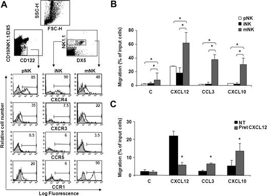 Figure 1. BM NK cell chemokine receptor expression and chemotactic response profile to CXCL12, CXCL10, and CCL3 during development. (A) Cell surface expression of chemokine receptors on developing NK cells. BM cells from individual C57BL/6 mice were stained with anti-CXCR4, anti-CXCR3, or anti-CCR5 mAb in combination with antibodies that identify pNK (anti-CD122, anti-CD3ϵ, anti-CD19, anti-NK1.1, and DX5), iNK, and mNK (anti-CD3ϵ, anti-NK1.1, and DX5) cells. CD3− lymphocytes were gated on the CD122+lin− population (top left dot plot) and on the NK1.1+DX5− or NK1.1+DX5+ population (top right dot plot). Shown are the histogram plot overlays of chemokine receptor antibody staining (empty histogram) against isotype control Ab (gray histogram). To analyze CCR1 expression, intracellular staining was performed on permeabilized cells using Alexafluor 647–conjugated goat polyclonal anti-CCR1 (empty histogram) or normal IgG (gray histogram). Numbers in the histograms indicate the percentage of positive cells of a representative experiment of at least 3 performed. Control staining was always less than 2%. (B) The chemotactic response of NK cells changes during development in the BM. In vitro chemotaxis assay of cells isolated from BM of individual animals was performed as described in “Methods.” One million cells were allowed to migrate in response to recombinant murine CXCL10 and CCL3 and human CXCL12 (used at 200 ng/mL) for 90 minutes. At the end of the experiment, duplicate wells were pooled, and cells were centrifuged and stained with the antibody cocktail used to identify pNK, iNK, and mNK cells (C indicates medium alone). Data are expressed as percentage of input cells and represent the means plus or minus SD of percentage migration of cells from a total of 8 to 12 animals analyzed in independent experiments. Student t test was performed by comparing migration of different BM NK cell subsets with each other; *P < .05. Migration of pNK versus iNK is not significantly different and thus omitted for sake of simplicity. (C) CXCL12 induces migration of pNK cells and promotes their chemotaxis to CCL3 and CXCL10. BM pNK cell migration was performed after cell pretreatment with 5 μg/mL CXCL12. Cells were washed and allowed to migrate in response to the indicated chemokines for 90 minutes. Migrated cells were then collected and stained with anti-CD122, anti-CD3ϵ, anti-CD19, anti-NK1.1, and DX5. Migrating pNK cells were identified as CD122+/lin− cells and quantified as positive events in 150 seconds acquisitions. C indicates control. Data are expressed as percentage of input cells and represent the means plus or minus SD of 6 independent experiments. Student t test was performed by comparing migration of untreated versus CXCL12-pretreated pNK cells. *P < .05.