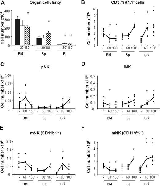 Figure 3. In vivo administration of the CXCR4 antagonist AMD-3100 promotes mobilization of iNK and mNK cells from the BM. Six- to 10-week-old C57BL/6 mice were subcutaneously injected with 50 μL PBS alone (−) or containing 2 mg/mL AMD-3100 and then killed at 60 minutes and at 60 or 180 minutes, respectively, after treatment. Cells from BM, spleen (Sp), and blood (Bl) cells were counted and stained either with anti-CD122, anti-CD19, anti-CD3ϵ, anti-NK1.1, and DX5 or with anti-CD3ϵ, anti-NK1.1, anti-CD11b, and DX5 mAbs to determine the percentage of pNK (C) and iNK/mNK (D-F) cells, respectively. Each dot represents the total cell number in the indicated organ of individual mice from at least 4 independent experiments performed and was calculated as described in “Methods.” Student t test was performed to compare the tissue distribution of NK cell subsets in mice treated with vehicle control with that of mice treated with AMD-3100. *P < .05. Differences that are not statistically significant are omitted for sake of simplicity. §Cell number × 105.