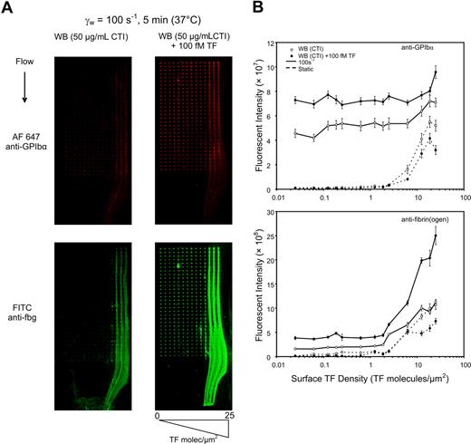 Figure 3. Amplification of surface TF by circulating 100 fM TF requires flow. The effect of exogenously added lipidated TF (100 fM) was studied in the presence and absence of venous wall shear rate of 100 s−1. Immunostaining for platelet GPIbα and fibrin(ogen) after 5-minute whole blood perfusion (with or without 100 fM TF) over TF titration arrays (A). Column averages of fluorescent intensity of the GPIbα staining (top) and fibrin(ogen) staining (bottom) are plotted against the TF surface concentration for static (dashed line) or venous (solid line) flow for perfusion of CTI whole blood without (○) or with (●) 100 fM added lipidated TF for 3 independent experiments (3 × 30 spots per plotted data point) (B).