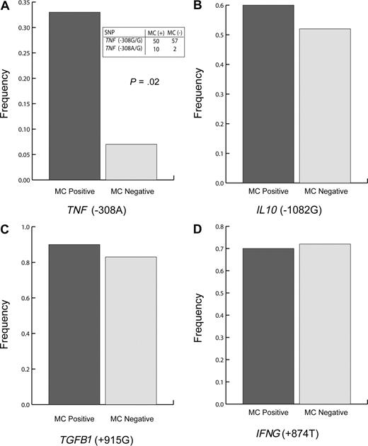 Figure 1. TNF (308A) polymorphism is associated with microchimerism in transfused trauma patients (P = .02). Polymorphism frequency of (A) TNF (−308A), (B) IL 10 (−1082G), (C) TGFB1 (+915G), and (D) IFNG (+874T) SNPs. Dark bars represent transfused trauma patients who were classified as MC positive (n = 30), and light bars represent transfused trauma patients who were classified as MC negative (n = 29). Two-sided Fisher exact test was used. Panel A includes an inset table depicting the relevant raw data for TNF (308) polymorphism.