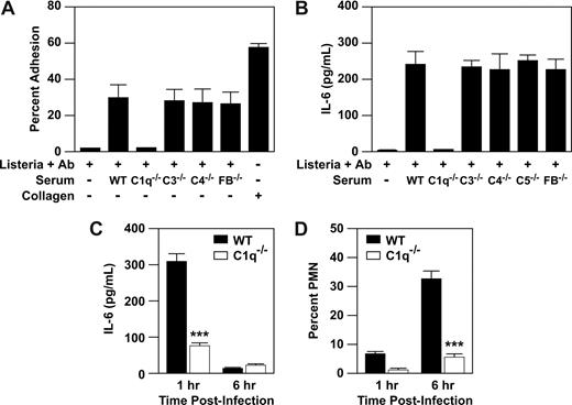Figure 3. C1q, but not other complement components, supplies stimulatory signal for mast-cell activation by Listeria-immune complex. (A) Purified PMCs (2 × 104 cells/well) isolated from WT (WT) mice were assayed for adhesion to a matrix consisting of Listeria plus anti-Listeria antibody, Listeria, anti-Listeria antibody alone, and 50% murine serum obtained from either WT mice or mice deficient in the complement components, C1q, C3, C4, C5, or factor B (C1q−/−, C3−/−, C4−/−, C5−/−, FB−/−) or type I collagen. (B) Purified PMCs (5 × 104) from WT and mice were incubated for 1 hour with a washed suspension of Listeria, anti-Listeria antibody, and 50% murine serum from either WT or mice deficient in the complement components C1q, C3, C4, C5, and factor B. Supernatants were collected and analyzed for IL-6 production by ELISA. All adhesion and activation experiments were carried out in the presence of 2 mM MgCl2. Results are mean plus or minus SEM from triplicate wells of a single experiment and represent 1 of at least 3 experiments demonstrating similar results. (C,D) WT and C1q−/− mice were infected for 1 or 6 hours with 5 × 104 Listeria intraperitoneally. At the indicated time points, the percentage PMN and IL-6 in the peritoneal fluid were determined. Shown is representative of at least 3 experiments (mean ± SEM), carried out in triplicate. Statistics were performed using unpaired Student t test (***P < .001).