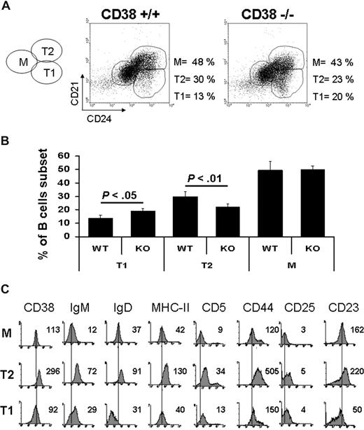 Figure 1. Transitional 1 B cells are increased and Transitional 2 B cells are decreased in CD38-deficient mice. Total splenic cells were gated on B220-positive cells (100%). Percentage of each subset was calculated according to the expression of CD21 and CD24. (A) Representative dot plots from wild-type and CD38-deficient mice. (B) Percentages of each population from 10 independent experiments. Results are expressed as mean plus or minus SD (P < .05 or P < .01 as indicated, Student t test). (C) A 4-color stain was used to analyze the expression of different surface markers. Each histogram shows the mean fluorescence intensity for each marker in every subpopulation.