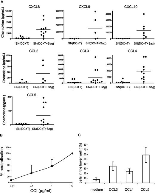 Figure 3. DC migration is induced by CC chemokines. (A) Chemokines secreted in the cocultures of DC plus T cells with or without TSST1 are quantified by cytometric bead arrays. Each dot represents one donor; mean of chemokine secretion is indicated in each column by the horizontal bar. (B) CCI inhibits DC migration. DCs were pretreated with different concentrations of CCI and migration toward the active supernatant was analyzed. Percentages (mean ± SD) of neutralization of DC migration is calculated as follows: 100 − ((% of CCI-treated DCs in lower chamber/ % of untreated DCs in the lower chamber) × 100). (C) Percentage of DCs attracted toward different recombinant chemokines in transwell chambers are shown. Means plus or minus SD of triplicates from one representative experiment are shown.