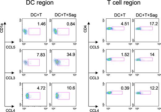 Figure 4. Production of CC chemokines by DCs and CD4+ T cells. DCs and CD4+ T cells were cocultured with or without TSST1 (Sag) for 24 hours. FACS analysis was performed to detect intracellular chemokine production (CCL3, 4, and 5) in DCs gated on CD1a expression and CD4+ T cells gated on CD4 expression. Percentage of DCs or T cells producing chemokines are indicated in each panel. One representative experiment of 3 is shown.