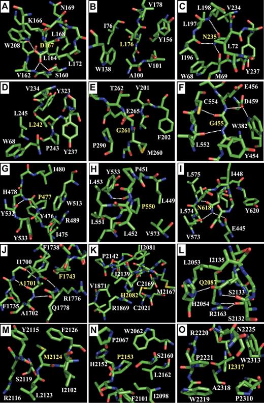 Figure 3. Close-up of novel, putative type I missense mutations identified in the current study. Atoms are color-coded (green indicates carbon; blue, nitrogen; red, oxygen; and yellow, sulfur), and the mutated residues are labeled yellow. With exception of Gly261 (E) and His2082 (K), only residues within 4 Å of the mutation are shown. Hydrogen bonds are indicated with dotted lines. Notice that most affected residues are fully buried in the protein core and engage in multiple interactions with surrounding residues. (Further explanation for each mutation is in “Type I mutations.”)