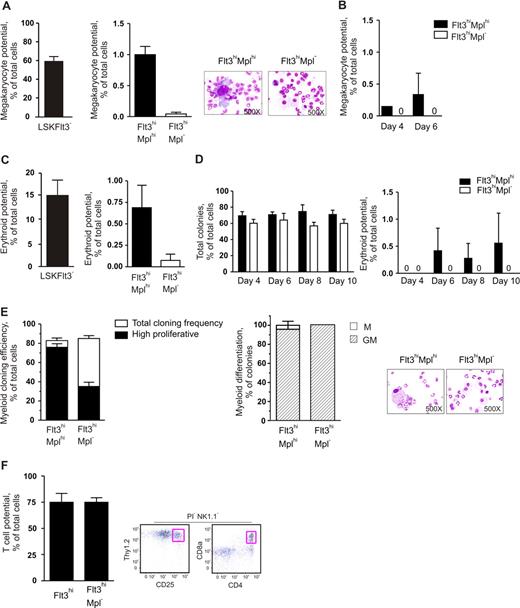 Figure 2. The low megakaryocyte and erythroid potentials of LMPPs are highly enriched in LMPPs coexpressing cell-surface Mpl. (A) In vitro megakaryocyte (Mk) potential of BM LSKFlt3−, LSKFlt3hiMplhi (Flt3hiMplhi), and LSKFlt3hiMpl− (Flt3hiMpl−) cells, as described in “Methods” after 10 days of culture. Mean plus or minus SEM values from 7 experiments. Cell morphology pictures from typical cultures of LSKFlt3hiMplhi cells and LSKFlt3hiMpl− cells, respectively. (B) Mk potential of LSKFlt3hiMplhi and LSKFlt3hiMpl− BM cells, after 4 and 6 days of culture. Mean plus or minus SEM values from 2 experiments. (C) In vitro erythroid potential of BM LSKFlt3−, LSKFlt3hiMplhi, and LSKFlt3hiMpl− cells, as established by DAF staining of methylcellulose cultures after 12 days of culture, as described in “Methods.” Mean plus or minus SEM values from 4 experiments. (D) Total cloning frequencies (left) and erythroid potential (right) of LSKFlt3hiMplhi and LSKFlt3hiMpl− cells evaluated after 4, 6, 8, and 10 days of methylcellulose culture. Mean plus or minus SEM values from 3 experiments. (E) Left panel shows results from clonal assays of single-cell deposited LSKFlt3hiMplhi and LSKFlt3hiMpl− cells cultured in cytokines promoting GM development (“Methods”). Open bars show cloning frequencies as established after 10 days of culture, and black bars show frequency of high proliferative clones (covering > 50% of the well). Mean plus or minus SEM values from 3 experiments. Middle panel shows relative distribution between clones with monocyte (M) or combined granulocyte-monocyte (GM) contents, derived from single LSKFlt3hiMplhi and LSKFlt3hiMpl− cells as established by morphologic evaluation of MGG-stained cytospin preparations (right panels). Mean plus or minus SEM values from 2 experiments. (F) T-cell potential of single-cell deposited LSKFlt3hi (Flt3hi) and LSKFlt3hiMpl− BM cells grown for 3 to 4 weeks on OP9-DL1, as evaluated by FACS, and defined as NK1.1−Thy1.2hiCD25hi and/or NK1.1−CD4+CD8+ and negative for the viability dye propidium iodide (PI) as previously described.10,15 Mean plus or minus SEM values from 2 experiments (n = 24 per group and experiment). Right panel shows representative FACS profiles of analyzed clone derived from a single cell. The T-cell identity of NK1.1−Thy1.2hiCD25hi clones was as previously shown15 and also confirmed by nested PCR analysis demonstrating expression of CD3 antigen, epsilon polypeptide (Cd3e), and pre–T-cell antigen receptor alpha (Ptcra) (data not shown).