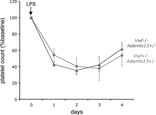Figure 3. VWF is not required for LPS-induced thrombocytopenia. Adamts13+/− mice that were either deficient for VWF (Vwf−/−, dashed line with triangles) or expressing VWF (Vwf+/−, solid line with circles) were injected intraperitoneally with LPS (either 12 or 20 μg/g body weight) and followed for 4 days. Blood from the retro-orbital plexus was obtained daily for automated platelet count analysis. For each group of mice, the daily platelet count data were averaged and expressed as the percentage change from baseline values obtained before injection of LPS. The number of mice injected was 12 for each group (8 mice at 12 μg/g, and 4 mice at 20 μg/g). The error bars represent the standard error of the mean.