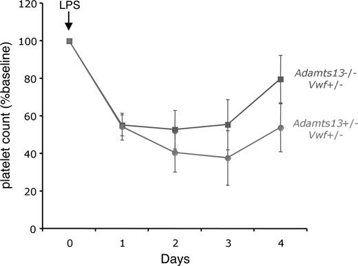 Figure 4. ADAMTS13 deficiency does not worsen LPS-induced thrombocytopenia. VWF-expressing mice that were either deficient for ADAMTS13 (Adamts13−/−, solid line with squares) or expressing ADAMTS13 (Adamts13+/−, dashed line with circles) were injected intraperitoneally with LPS (either 12 or 20 μg/g body weight) and followed for 4 days. Blood from the retro-orbital plexus was obtained daily for automated platelet count analysis. For each group of mice, the daily platelet count data were averaged and expressed as the percentage change from baseline values obtained before injection of LPS. The number of mice injected was 12 for each group (8 mice at 12 μg/g, and 4 mice at 20 μg/g). The error bars represent the standard error of the mean.