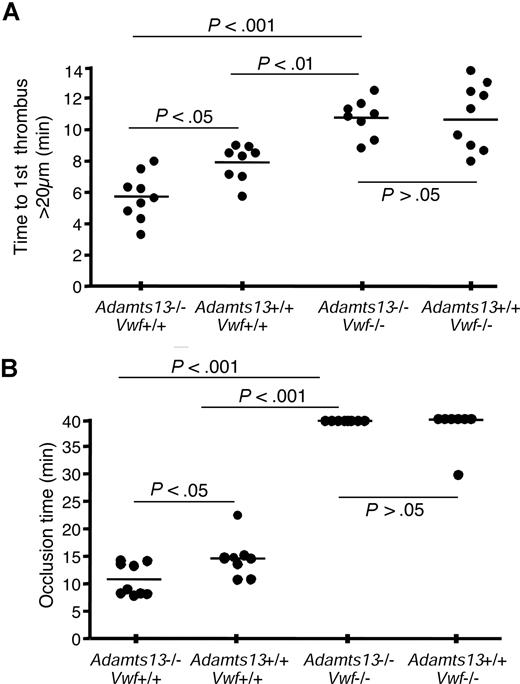 Figure 5. VWF deficiency abrogates the ADAMTS13-deficient prothrombotic state. (A) Quantification of thrombi formation in FeCl3-injured arterioles. In VWF-expressing Adamts13−/− mice, thrombi larger than 20 μm were observed at 5.7 (± 0.5) minutes (column 1), compared with 7.9 (± 0.4) minutes for Adamts13+/+ mice (P < .05, column 2). In contrast, there was no difference in mean time to first thrombus formation larger than 20 μm between mice deficient for both VWF and ADAMTS13 (10.7 ± 0.4 minutes, column 3), compared with VWF-deficient mice expressing ADAMTS13 (10.6 ± 0.7 minutes, column 4). (B) Occlusion time of FeCl3-injured arterioles. VWF-expressing Adamts13−/− mice demonstrated an average occlusion time of 10.8 (± 1.0) minutes (column 1), compared with 14.6 (± 1.3) minutes for Adamts13+/+ mice (P < .05, column 2). In contrast, there was no difference in occlusion time between mice deficient for both VWF and ADAMTS13 (column 3), compared with VWF-deficient mice expressing ADAMTS13 (column 4). Most of the injured arterioles did not occlude in mice of either of these 2 groups. The bars represent the mean of each group.