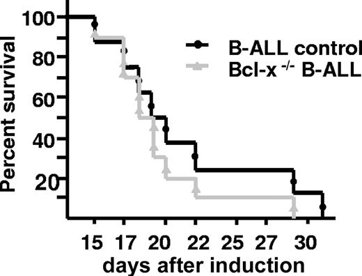 Figure 3. Survival time of mice suffering from B-ALL and Bcl-x–deficient B-ALL after induction of p210 BCR/ABL expression. Kaplan-Meier plot showing survival time of mice suffering from B-ALL and Bcl-x–deficient B-ALL. Individual mice in each arm are indicated by symbols.
