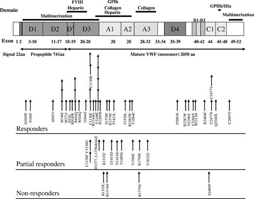 Figure 2. Distribution of mutations over the VWF protein for desmopressin responders, partial responders, and nonresponders. Each arrow represents one mutation. Intronic/promoter mutations are not shown (Table 3). Among the nonresponders, a single patient had 2 mutations (R1779X/S2469P). Among the partial responders, a patient was compound heterozygous for V1485fs/Y1584C.