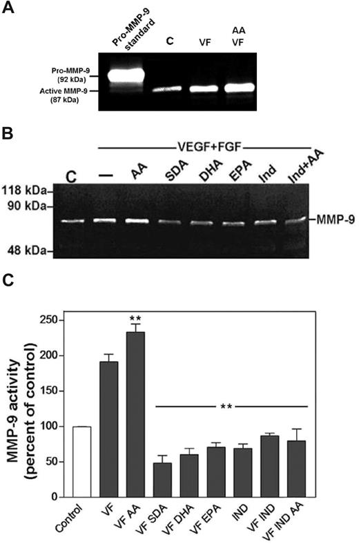 Figure 4. Effects of ω-3 PUFAs on MMP-9 induction in ECs. HUVECs were treated with the combination of VEGF and bFGF (VF) and AA, SDA, DHA, EPA (10 μM), or indomethacin (IND; 5 μM). MMP levels were analyzed by semiquantitative zymography (“Methods”). (A) Differences in molecular weight between pro–MMP-9 standard (92 kDa) and the active MMP-9 (87 kDa) detected in HUVECs (C indicates absence of VF). (B) Representative zymogram of treated HUVEC medium. (C) MMP-9 levels were determined (n = 4) and analyzed statistically. **P < .001 different from VF treatment alone.