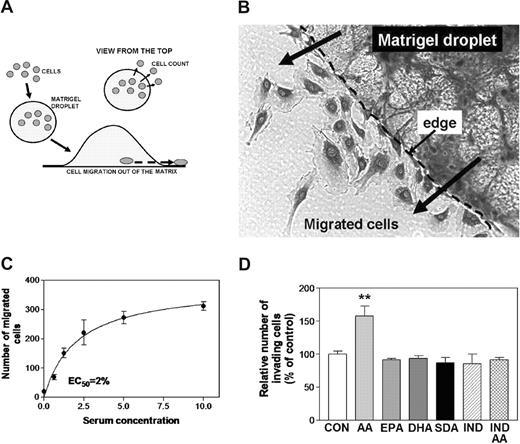 Figure 5. Effects of ω-3 PUFAs on EC invasiveness. (A) Schematic outline of the newly developed method. ECs were mixed with Matrigel solution (1:1), and a 20-μL droplet was applied to the surface of a 6-well plate (n = 5) and incubated for 20 hours. The cells that migrated out of the droplet were counted by phase-contrast inverse microscopy. (B) A photograph of ECs that had migrated out of the Matrigel droplet. (C) Serum/growth factor dependence of EC migration. The effect of serum/growth factors on HUVEC migration was examined, and the dose-response curve is shown. The EC50 value of 2% FBS was determined by nonlinear regression. (D) Mean differences in number of invading cells that were affected by PUFAs (10 μM) and indomethacin (IND; 5 μM) were analyzed statistically. **P < .01 different from control.