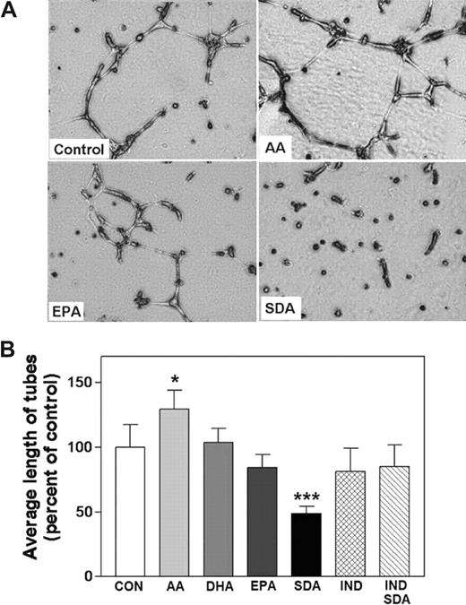 Figure 6. Effects of ω-3 PUFAs on tube formation. HUVECs were seeded on Matrigel layers, exposed to the indicated treatments (n = 6), and incubated for 20 hours. (A) The formed tubes were detected by phase-contrast inverse microscopy and digital photography. (B) Average lengths of tubes in treatments with PUFAs (10 μM) and indomethacin (IND; 5 μM) were determined by analysis of digital images. *P < .05; ***P < .001 different from control.