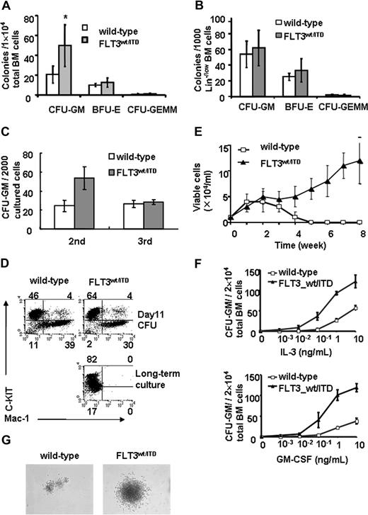 Figure 5. BM from FLT3wt/ITD mice demonstrates enhanced myeloid colony-forming activity and can be immortalized in vitro. Methylcellulose-based in vitro colony-forming assay of total BM cells (A) and Lin−/low BM cells (B) from 2-month-old mice; (C) Secondary and tertiary colony-forming assay; (D) Flow cytometic analysis of cells collected from colonies 11 days after the first plating and from the long-term liquid culture (6 months). (E) Cells derived from FLT3wt/ITD BM could be serially propagated in RPMI 1640 medium containing SCF and IL-3. *P < .05. (F) BM cells from FLT3wt/ITD mice have a lower cytokine requirement to form CFU-GM. Data are results from 3 independent experiments. Data are expressed as means (bars) plus or minus SEM (error bars). (G) Representative CFU-GM colonies generated from FLT3wt/ITD or wild-type BM in the presence of 1 ng/mL GM-CSF. Original magnification: ×40. Images were acquired at room temperature using a Nikon Eclipse TE300 inverted microscope system with a Nikon Plan Fluor 4×/0.13 NA objective. The images were photographed using a Diagnostics Instruments Spot camera with SPOT 3.3.2 software (Diagnostic Instruments, Sterling Heights, MI).