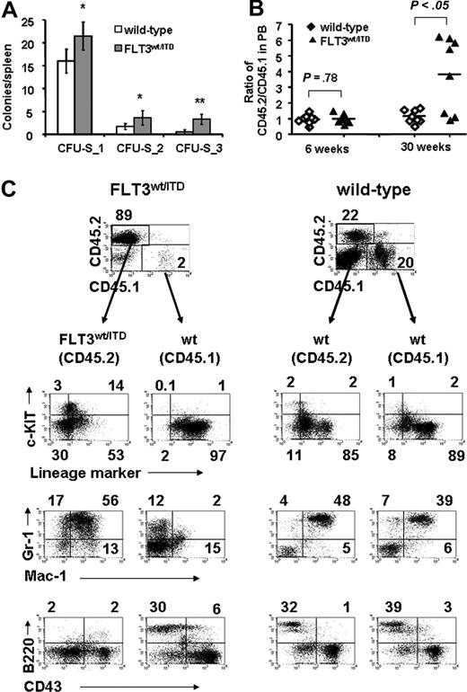 Figure 6. FLT3wt/ITD mice possess enhanced myeloid expansion activity in vivo. (A) In vivo CFU-spleen assay. CFU-S 1, CFU-S 2, and CFU-S 3 indicate primary, secondary and tertiary CFU-spleen assays, respectively. Data are expressed as means (bars) plus or minus SEM (error bars). (B) In vivo competitive repopulation assay. A representative from 3 independent experiments is shown. *P < .05; **P < .001. (C) BM cells from the FLT3wt/ITD donors demonstrated increased myeloid and reduced lymphoid expansion activity compared with the wild-type competitor cells in the same recipients. Flow cytometry analysis of BM cells from representative recipients in the FLT3wt/ITD and wild-type groups is shown. Numbers indicate the percentage of cells in each quadrant. wt indicates wild-type.