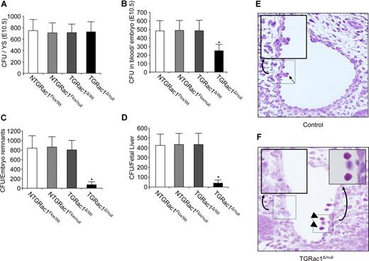Figure 4. Definitive hematopoiesis of embryos at E10.5. (A-D) Quantitative analysis of definitive hematopoiesis at E10.5 by determination of number of CFUs in (A) yolk sac; (B) blood; (C) embryonic remnants (embryonic tissue after removal of yolk sac and amniotic membranes, blood, fetal liver, and tail bud, used for genotyping); and (D) fetal liver. Data represent means (± SD) of 8 or more F2 embryos for each genotype, *P < .01, TGRac1Flox/null versus all other genotypes. (E,F) Histologic analysis of the aortic clusters at E10.5. Punctuated squares delineate the area shown at higher magnification in the upper-right corner. The figures are representative of all animals analyzed for each genotype. Data are summated in Table 2. Arrow in panel E shows hematopoietic cells on the ventral wall of dorsal aorta. Arrowheads in panel F show circulating primitive red blood cells. No TGRac1Flox/null mice demonstrated aortic clusters. Images acquired as described in “Light microscopy,” with a 40×/0.5 numeric aperture objective.