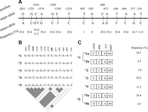 Figure 1. DHFR polymorphisms and derived haplotypes. (A) Promoter polymorphisms with the frequency of minor alleles. (B) Haplotypes arbitrarily named from *1 to *5 derived from 13 promoter polymorphisms with minor allele frequency higher than 1%. tagSNPs that are sufficient to infer all 5 haplotypes are given in bold. Pairwise estimates of linkage disequilibrium are given the bottom panel (▩ indicates r2 = 1; □ indicates r2 < 1). (C) Haplotypes derived from 3 tag promoter SNPs and the 19-bp indel polymorphism. The frequency of controls is given next to the haplotypes.