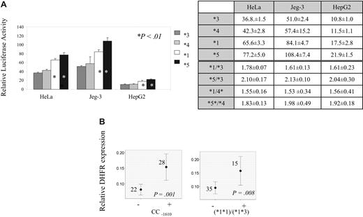 Figure 3. Transcription according to DHFR genotypes and haplotypes. (A) DHFR haplotype's promoter strength relative to blank (Gateway-adapted pGL3-basic vector). Haplotypes *3, *4, *1, and *5 are represented by dark gray, light gray, white, and black bars, respectively. The relative values are given for 3 different cell lines: HeLa, Jeg-3, and HepG2. *Haplotypes showing significant increase in transcription (P < .01, Student t test) when compared with haplotype 3 or to haplotype 4. Tables illustrate relative promoter activity (values and standard deviation) for each haplotype as well as ratio of relative promoter activity between haplotypes with high and low expression. (B) Relative mRNA levels according to DHFR genotypes and haplotypes. The mean value of expression with 95% CI, the number of individuals represented by each line, and P value obtained by Mann-Whitney test (CC −1610 genotype) and ANOVA (*1*1 and *1*3 haplotype pairs) for the difference of expression between carriers (+) and noncarriers (−) of indicated genotypes/haplotypes are indicated on the plots.