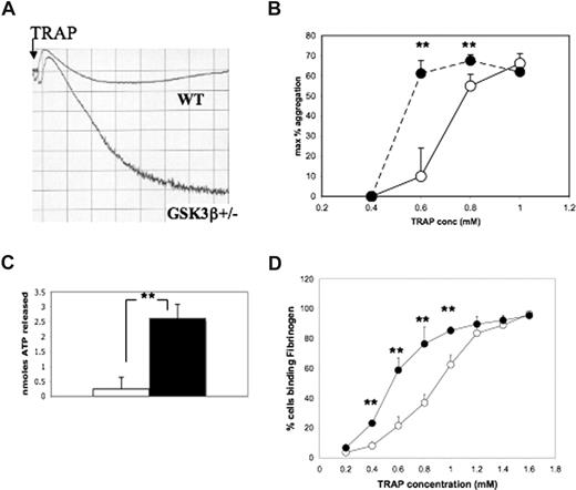 Figure 3. Platelets from GSK3β+/− mice are hypersensitive to agonist-stimulated aggregation, secretion of dense granule contents, and fibrinogen binding. (A) PRP from WT and GSK3β+/− mice (2 × 108/mL) were stimulated with mouse TRAP AYPGKF (0.6 mM) in the presence of luciferase (100 nM). Aggregation and ATP release were recorded with an optical aggregometer. A representative aggregation trace is shown. (B) The maximal percent aggregation in response to varying concentrations of AYPGKF was measured. The mean (± SD) for 4 experiments is shown for WT platelets (○) and GSK3β+/− platelets (●). ** indicates the difference between WT and GSK3β+/− is statistically significant (P < .01, n = 4, unpaired Student t test). (C) The amount of ATP secretion (nmol/5 × 107 platelets) in response to 0.6 mM mouse TRAP was measured in 6 experiments: the mean (± SD) is shown; ** indicates the difference between WT and GSK3β+/− is statistically significant (P < .01, unpaired Student t test; WT, □; GSK3β+/− ■). (D) The percent of cells binding fibrinogen following stimulation with varying concentrations of mouse TRAP AYPGKF is shown: ○ for WT cells, ● for GSK3β+/− platelets (mean ± SD; ** indicates statistical significance, P < .01, unpaired Student t test for 3 experiments).