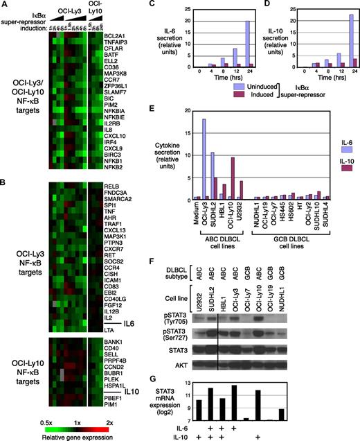Figure 1. IL-6 and IL-10 are targets of the NF-κB pathway. (A,B) Gene expression patterns of lymphoma cell line OCI-Ly3 and OCI-Ly10 induced to express IkBsr with doxycycline for the indicated times. Each column is a single experiment comparing 2 cDNA populations; the treated sample was labeled red (Cy5) and the untreated sample was labeled green (Cy3). Each row represents data from a single cDNA microarray spot. The red-to-green (Cy5/Cy3) ratio reflects hybridization to that spot, a measure of relative gene expression; intensity reflects the magnitude of the difference between the samples according to the ratio color scale. Red indicates Cy5/Cy3 ratios greater than 1, green indicates Cy5/Cy3 ratios less than 1, black indicates no significant change in gene expression, and gray indicates that the spot did not meet data selection criteria. These ratios were depicted according to the color scale shown at the bottom. The criteria for selecting these genes are described in “Methods.” (C) Expression of IκBsr inhibits IL-6 secretion. OCI-Ly3 cells were induced to express IκBsr with doxycycline. Cells were washed before adding doxycycline. ELISA was used to determine the amount of IL-6 secreted in the medium. (D) Expression of IκBsr inhibits IL-10 secretion. OCI-Ly10 cells were induced to express IκBsr with doxycycline. Cells were washed before adding doxycycline. ELISA was used to determine the amount of IL-10 secreted in the medium. (E) Expression of IL-6 and IL-10 in ABC and GCB DLBCL cell lines was measured using the Quantikine colorimetric sandwich ELISA kit. (F) Steady-state levels of total and phosphorylated STAT3 in ABC and GCB DLBCL cell lines. Cell lysate were separated on Western blotting and immunoblotted with antibodies specific for p-STAT3 (Tyr705), pSTAT3 (Ser727), STAT3, or AKT (control). A vertical line has been inserted to indicate a repositioned gel lane. (G) Relative STAT3 mRNA levels in ABC DLBCL and GCB DLBCL cell lines as assessed by gene-expression profiling on Affymetrix U133 plus 2.0 arrays (probe ID_1123163).
