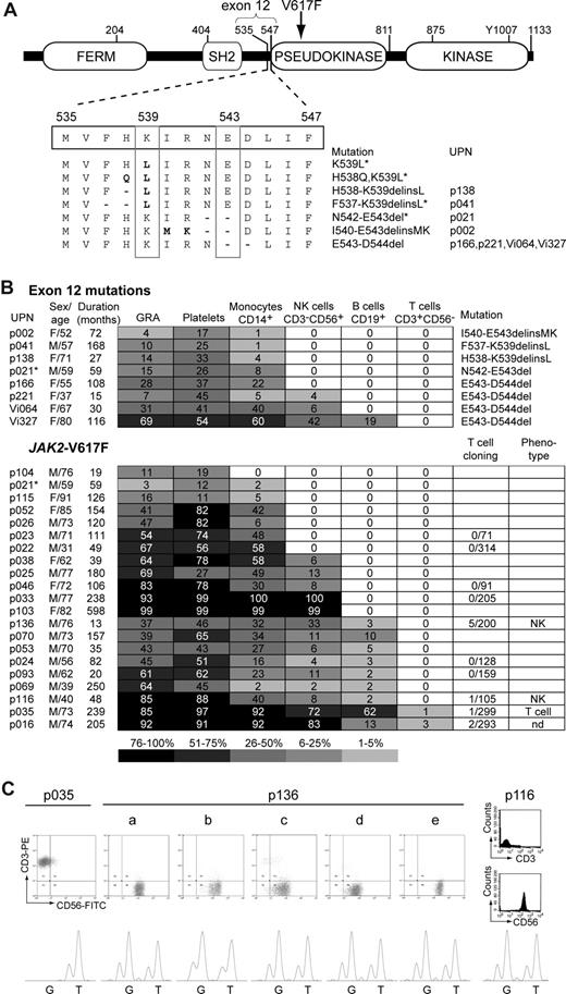 Figure 1. Distribution of JAK2 mutations in peripheral blood lineages. (A) The location of exon 12 mutations and JAK2-V617F in the Jak2 protein is shown (top). The amino acid changes caused by the individual exon 12 mutations are shown below using the single letter code. Previously described mutations (asterisk) and newly found mutations (no asterisk) are shown with the unique patient numbers (UPN) of the patients included in this study. (B) Lineage distribution of JAK2 exon 12 mutations (top) and JAK2-V617F (bottom part). Numbers in boxes indicate the percentages of chromosomes 9 with exon 12 mutations, and the shading of boxes corresponds to the ranges shown at the bottom. UPN indicates unique patient number; F, female; M, male; GRA, granulocytes; NK cells, natural killer cells; nd, not determined. Numbers in column for T-cell cloning indicate JAK2-V617F positive clones/total clones analyzed. The phenotypes of JAK2-V617F positive clones were determined by flow cytometry. NK cell phenotype: CD3−CD56+; T-cell phenotype: CD3+CD56−. * Note that patient p021 was positive for exon 12 mutation N542-E543del and for JAK2-V617F. (C) Phenotypic analysis of JAK2-V617F positive clones. Flow cytometic analyses. One JAK2-V617F positive clone from patient p035 consisted of CD3+CD56− T cells. All other positive clones from patients p136 and p116 were CD3−CD56+ NK cells (top panel). Allele-specific PCR for JAK2-V617F showing T-cell clone from p035 was homozygous for JAK2-V617F, whereas the clones from patients p136 and p116 were heterozygous for JAK2-V617F (bottom panel).