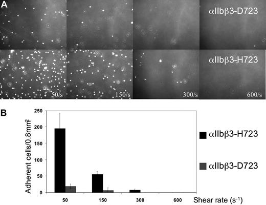 Figure 4. Adhesion of CHO cells to a fibrinogen-coated surface in a laminar flow chamber at different shear rates. (A) Phase-contrast microphotographs of CHO αIIbβ3-D723 (top panel) and CHO αIIbβ3-H723 (bottom panel) at shear rates of 50, 150, 300, and 600 s−1 (magnification ×20). (B) Quantification of the number of adherent cells in 4 different 0.8-mm2 fields. Bars represent the means plus or minus 2.5 SD.