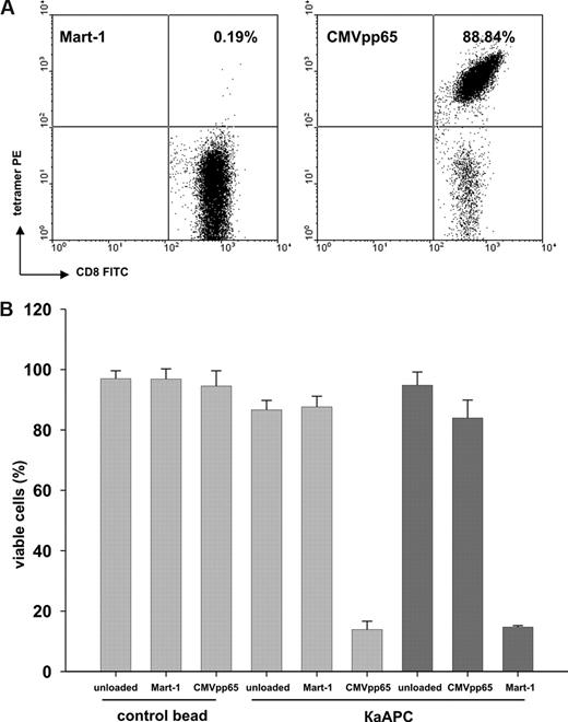 Figure 2. Elimination of CMVpp65-specific CTLs by CMVpp65κaAPCs. (A) An example of CMVpp65-specific CTLs used throughout the experiments. CTLs were specifically stained with CMVpp65 tetramer (88.84%). Mart-1 tetramer (0.19%) served as control stain. (B) Elimination of (▓) CMVpp65- or (▒) Mart-1–specific CTLs from different donors in cocultures with CBs or κaAPCs loaded with CMVpp65 or Mart-1 peptide. Cocultures with unloaded CBs or κaAPCs served as negative controls. Numbers of viable cells (% viable cells = (% treated cells × 100%) /% untreated cells) after 48 hours of coculture are depicted (means ± SD) of 5 independent experiments.