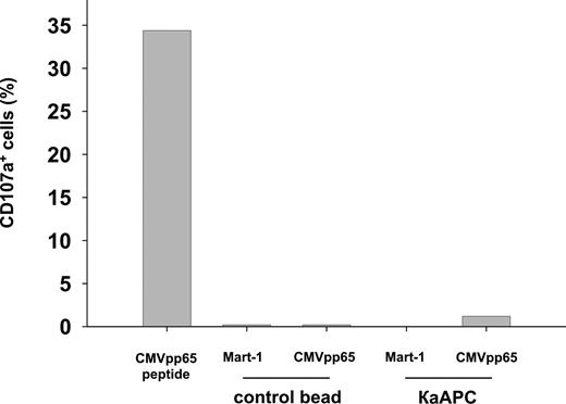 Figure 3. Cell/bead contact does not lead to an activation of antigen-specific CTLs and subsequent AICD. Activation in CMVpp65-specific CTLs of a single donor cocultured with Mart-1CBs, CMVpp65CBs, Mart-1κaAPCs, or CMVpp65κaAPCs. CTL cultures stimulated with 7.5 ng/mL soluble CMVpp65 peptide served as positive control. Numbers of CD107a+ cells were determined 5 hours following initiation of cocultures. One representative experiment of 3 is shown.