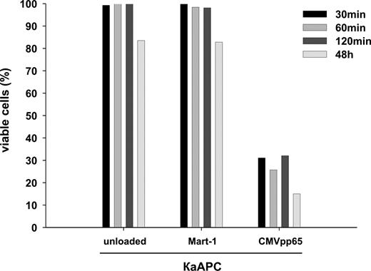 Figure 5. Elimination of CTLs occurs early during interaction with κaAPCs. CMVpp65-specific CTLs were cocultured with different loaded or unloaded bead preparations (x-axis). At indicated time points (30, 60, and 120 minutes following initiation of cocultures), beads were magnetically removed and CMVpp65-specific CTLs were further incubated. After 48 hours, numbers of viable CTLs, (% viable cells = (% treated cells × 100%)/% untreated cells were determined as described in the experimental protocols. CMVpp65-specific CTLs cocultured for 48 hours with the indicated beads served as positive control.