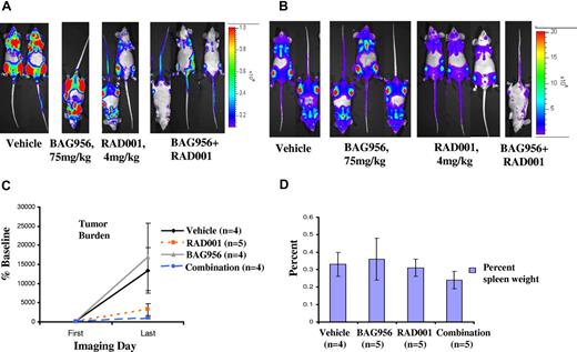 Figure 7. In vivo investigation of effects of BAG956 and RAD001, alone and combined. For BAG956+RAD001 combination studies, BAG956 was prepared as described in Figure 6, and gavage volumes were fixed to administer a final dose of 75 mg/kg BAG956. RAD001 was synthesized by Novartis Pharma, and was supplied as a 2% RAD microemulsion preconcentrate (active ingredient concentration 2% (w/w); formulation contained 20 mg RAD001/g; density of the formulation was 0.995 g/cm3). For a final concentration of 4 mg/kg for RAD001-treated mice, 0.049 g 2% RAD microemulsion was diluted in 1.4 mL water. For vehicle-treated mice, 0.049 g placebo microemulsion (same vehicle as used for RAD001) was diluted in 1.4 mL water. Gavage volumes were fixed according to the average weight of mice to achieve a final dose of 4 mg/kg RAD001 per mouse. In vivo imaging studies were performed that included treatment of mice with vehicle (both the vehicle used for BAG956 and the vehicle used for RAD001), BAG956 alone (75 mg/kg), RAD001 (4 mg/kg), or a combination of BAG956 (75 mg/kg) and RAD001 (4 mg/kg). Baseline imaging was performed for BAG956+RAD001 combination studies on the day after intravenous injection of cells, and drug treatments were started on that day as well. Two independent studies involving BAG956 and RAD001 treatments were performed, and data from both experiments were pooled. Histopathologic analysis and confirmation of tumor burden in vital organ tissues was carried out. (A) Raw photo images: experiment 1, 6-day treatment (1 times daily) with BAG (75 mg/kg) and RAD001 (4 mg/kg) alone, and together. First imaging day was 3 days after intravenous injection of cells. First treatment day was 4 days after intravenous injection of 32D.p210-luc+ cells. Last imaging day: 10 days after intravenous injection of cells. (B) Raw photo images: experiment 2, 7-day treatment with BAG (75 mg/kg) and RAD001 (4 mg/kg) alone, and together. First imaging day and first drug treatments were 1 day after intravenous injection cells. Last imaging day: 8 days after intravenous injection of cells. Mice were killed on day 8 after intravenous injection of cells, and total and spleen weights were obtained on the same day. (C) Bioluminescence results shown in panels A and B, pooled together and graphed as percent baseline (left panel) and as total flux (right panel). (D) Percent spleen/total weights assessed for mice shown in panels A and B. Additional mice that died within the last imaging day (but that died before imaging and therefore could not be imaged) were included for calculation of percent spleen weights for the BAG only, RAD001 only, and drug combination groups.