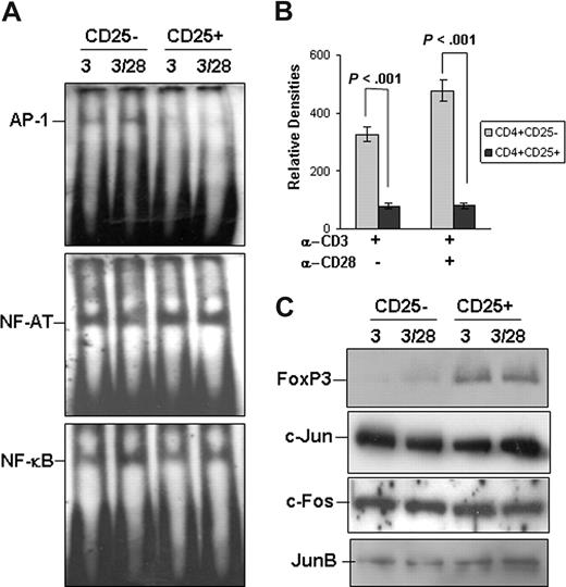 Figure 1. Impaired AP-1 promoter DNA-binding in naturally developed Tregs. (A) Purified CD4+ CD25+ regulatory T cells, with CD4+ CD25− naive T cells as controls, were stimulated with anti-CD3 or anti-CD3 plus anti-CD28 for 36 hours. Nuclear extracts were isolated from these stimulated cells and used for electrophoretic mobility shift assay assay using biotin-labeled DNA fragments corresponding to the promoter region of AP-1 (top panel), NF-AT (middle panel), or NF-κB (bottom panel). (B) The bands' density of AP-1 DNA-binding was measured using National Institutes of Health 1.63 software. Error bars represent data from 5 independent experiments. Student t test was used for the statistical analysis. (C) The protein expression of FoxP3, c-Jun, c-Fos, and JunB from the nuclear extracts used in panel A was analyzed in parallel by Western blotting.