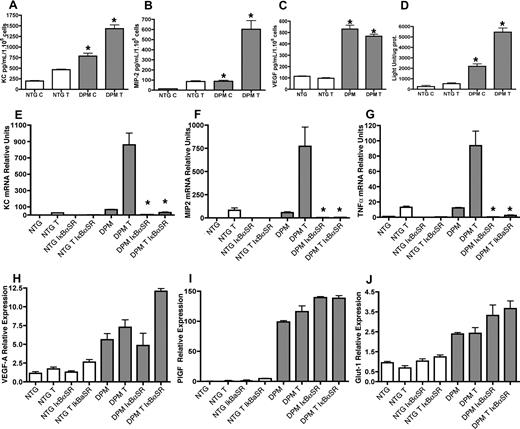Figure 5. Epithelial inflammatory chemokine elaboration requires NFκB signaling. Elevation of KC, MIP-2, and VEGF-A protein expression at baseline “C” and 3 hours after TPA treatment “T” in supernatants conditioned by primary transgenic keratinocytes (A, B, and C, respectively) demonstrate the cell autonomous activity of epithelial HIF-1α gain of function. (D) Increased NFκB transcriptional activity in K14-HIF-1αDPM keratinocytes. Nontransgenic (NTG) and transgenic (DPM) keratinocytes were transiently transfected with a NFκB reporter construct. After 48 hours, cells were treated with DMSO or TPA for 3 hours, harvested, and assayed for luciferase activity. Values are expressed as relative light units per microgram total protein (D). IκBαSer32/34A (IκBα super-repressor, IκBαSR) NFκB transcriptional blockade markedly diminishes keratinocyte chemokine expression (KC, MIP-2, and TNF-α, panels E-G, respectively) but does not affect the HIF-1α target gene (VEGF-A, PlGF, and Glut-1, panels H-J, respectively) expression. RT-PCR analysis using total RNA extracted from a control adenovirus (A-cytomegalovirus) or IκBαSR adenoviral-transduced primary keratinocytes at baseline and 3 hours after TPA treatment. Error bars represent mean plus or minus SEM. Results are representative of 3 independent experiments (*P < .05, t test).