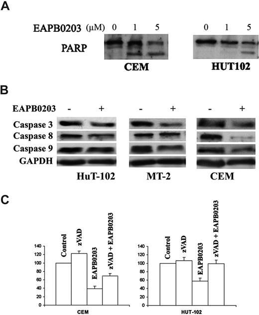 Figure 5. EAPB0203-induced apoptosis is caspase dependent in human T-cell lines. (A) Effect of EAPB0203 on the cleavage of PARP in HTLV-I–positive and –negative cells. Cells were treated for 24 hours with EAPB0203 at the indicated concentrations. Total SDS protein lysates (50-100 μg/lane) were prepared and immunoblotted against PARP. (B) Effect of EAPB0203 on the cleavage of pro-caspases 3, 8, and 9. (C) Effect of the general caspase inhibitor z-VAD (50 μM) on the growth inhibition induced by EAPB0203 in CEM and HuT-102 cells. Cell growth was assayed in triplicate wells with the CellTiter 96 nonradioactive cell proliferation kit. Results are expressed as percentage of control plus or minus SD.